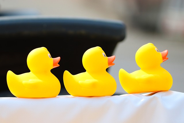 Entenrennen schreibersdorf