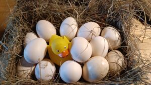 Frohe Ostern wünscht MAD DUCK