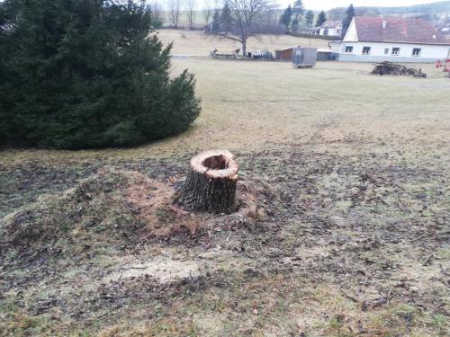 Nussbaum